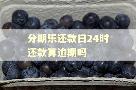 分期乐还款日24时还款算逾期吗