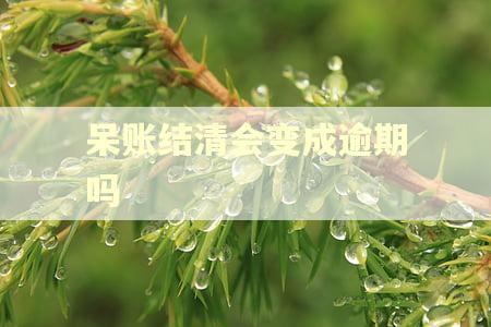 呆账结清会变成逾期吗