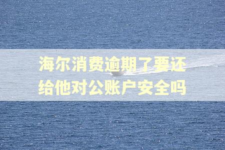 海尔消费逾期了要还给他对公账户安全吗
