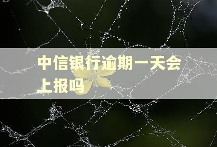 中信银行逾期一天会上报吗