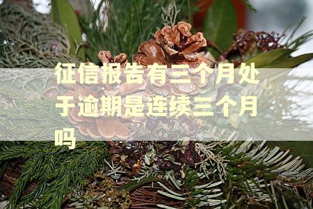 征信报告有三个月处于逾期是连续三个月吗
