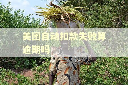 美团自动扣款失败算逾期吗
