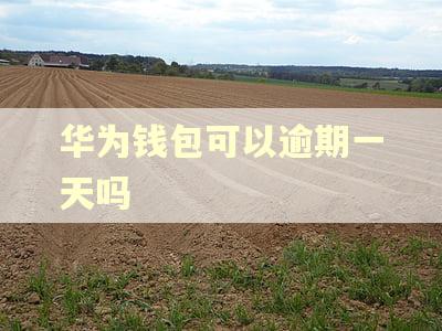 华为钱包可以逾期一天吗