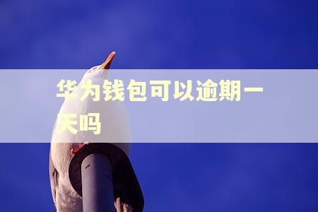 华为钱包可以逾期一天吗 华为钱包可以逾期一天吗