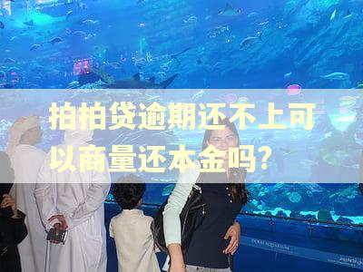 拍拍贷逾期还不上可以商量还本金吗?