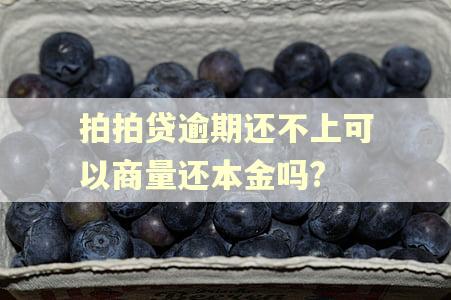 拍拍贷逾期还不上可以商量还本金吗?