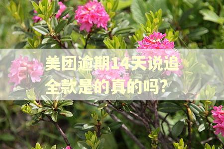 美团逾期14天说追全款是的真的吗?