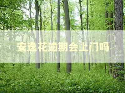 安逸花逾期会上门吗