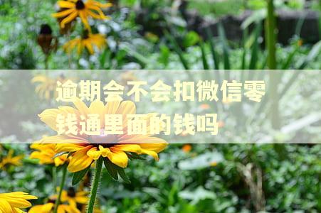逾期会不会扣微信零钱通里面的钱吗