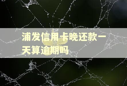 浦发信用卡晚还款一天算逾期吗