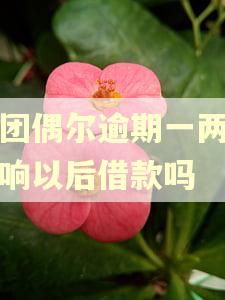 美团偶尔逾期一两次影响以后借款吗 美团偶尔逾期一两次影响以后借款吗