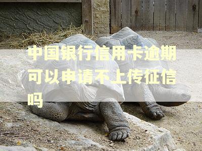中国银行信用卡逾期可以申请不上传征信吗
