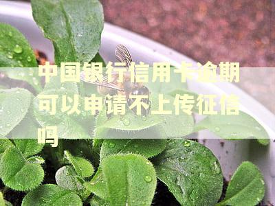 中国银行信用卡逾期可以申请不上传征信吗 中国银行信用卡逾期可以申请不上传征信吗