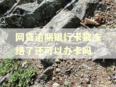 网贷逾期银行卡被冻结了还可以办卡吗