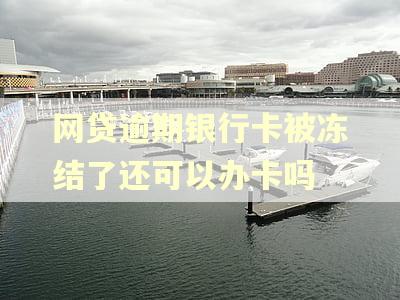 网贷逾期银行卡被冻结了还可以办卡吗