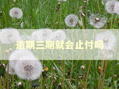 逾期三期就会止付吗 逾期三期就会止付吗
