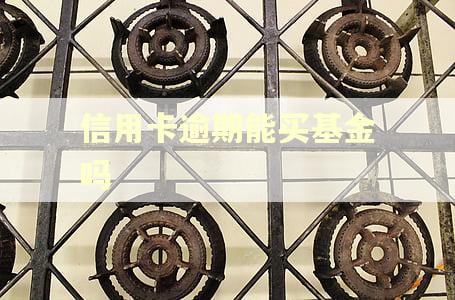 信用卡逾期能买基金吗