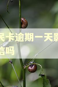 便民卡逾期一天影响征信吗