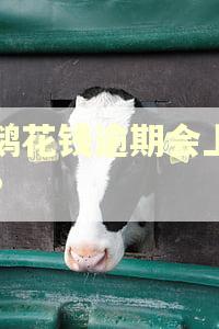 小鹅花钱逾期会上门吗? 小鹅花钱逾期会上门吗?