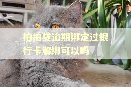 拍拍贷逾期绑定过银行卡解绑可以吗