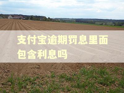 支付宝逾期罚息里面包含利息吗