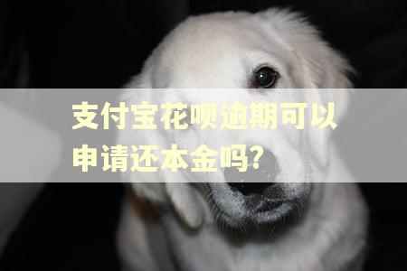 支付宝花呗逾期可以申请还本金吗?