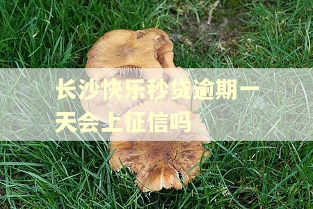 长沙快乐秒贷逾期一天会上征信吗