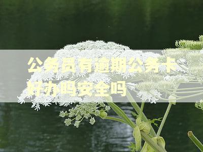 公务员有逾期公务卡好办吗安全吗 公务员有逾期公务卡好办吗安全吗