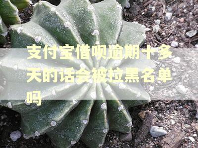 支付宝借呗逾期十多天的话会被拉黑名单吗