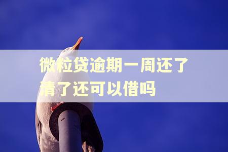 微粒贷逾期一周还了清了还可以借吗
