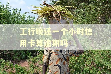 工行晚还一个小时信用卡算逾期吗