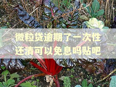 微粒贷逾期了一次性还清可以免息吗贴吧