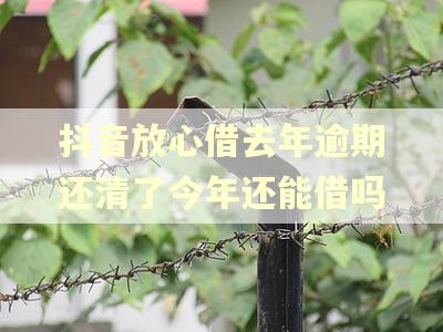 抖音放心借去年逾期还清了今年还能借吗