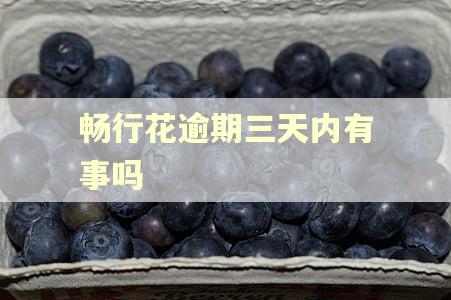 畅行花逾期三天内有事吗