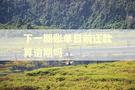 下一期账单日前还款算逾期吗 下一期账单日前还款算逾期吗