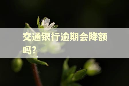 交通银行逾期会降额吗?