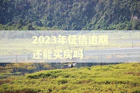 2023年征信逾期还能买房吗