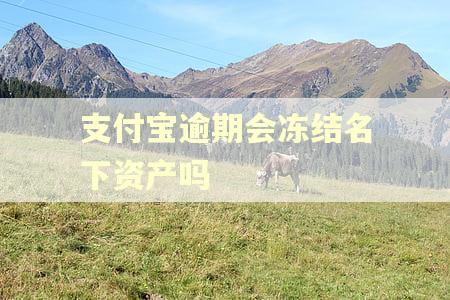 支付宝逾期会冻结名下资产吗 支付宝逾期会冻结名下资产吗