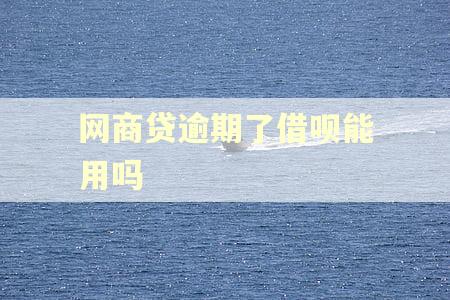 网商贷逾期了借呗能用吗