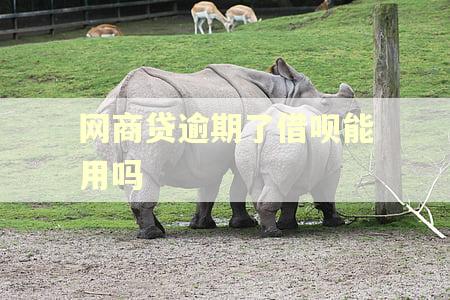 网商贷逾期了借呗能用吗