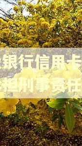 建设银行信用卡逾期会承担刑事责任吗