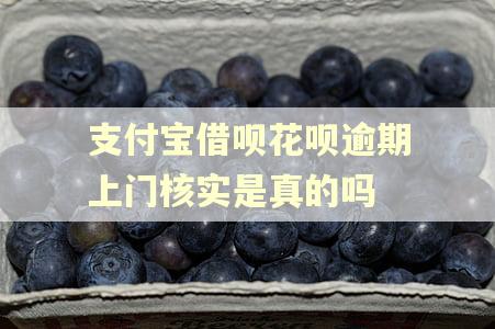 支付宝借呗花呗逾期上门核实是真的吗