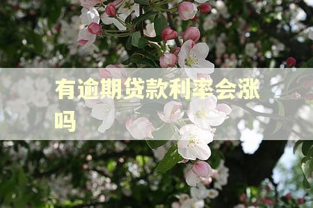 有逾期贷款利率会涨吗