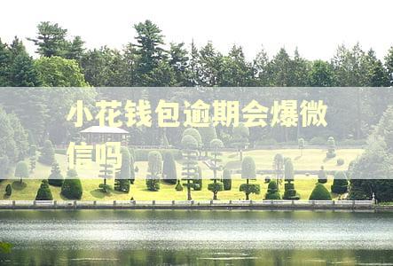 小花钱包逾期会爆微信吗