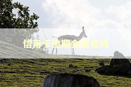 信用卡逾期会黑点吗