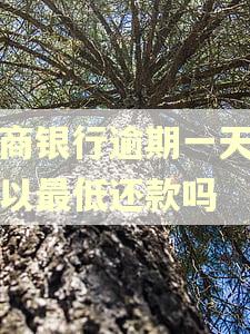 工商银行逾期一天还可以最低还款吗