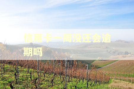 信用卡一周没还会逾期吗