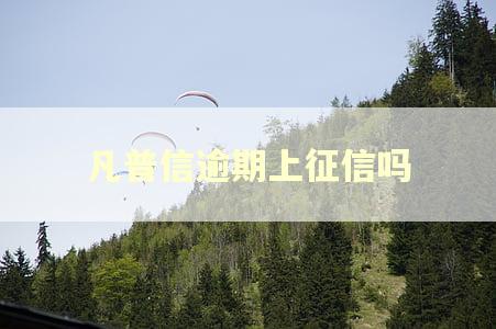 凡普信逾期上征信吗
