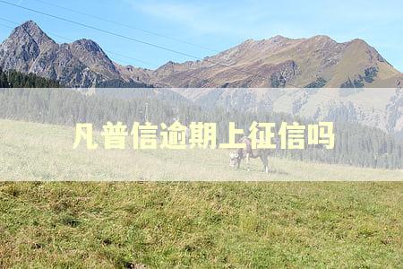 凡普信逾期上征信吗