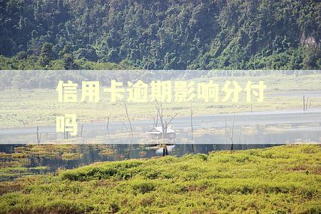 信用卡逾期影响分付吗